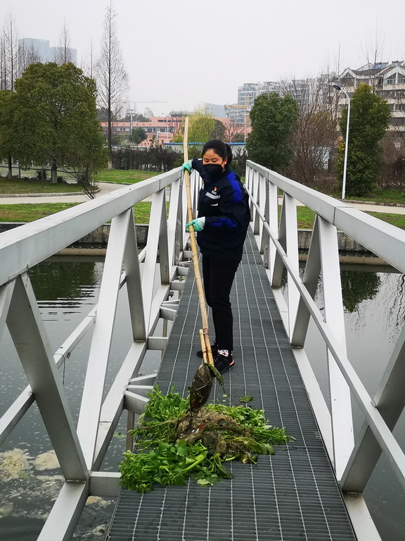 羊山石榴花季醉红色
