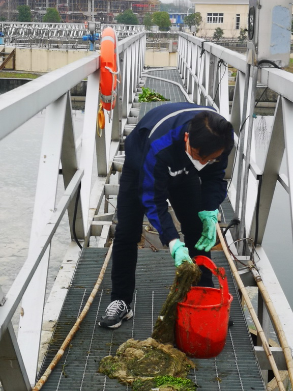 羊山石榴花季醉红色